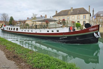COQUELICOT - Tours-sur-Marne - mars 2024 (1).jpg (162.71 Kio) Vu 3166 fois COQUELICOT - Tours-sur-Marne - mars 2024 (1).jpg