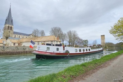 COQUELICOT - Tours-sur-Marne - mars 2024 (2).jpg (156.71 Kio) Vu 3166 fois COQUELICOT - Tours-sur-Marne - mars 2024 (2).jpg