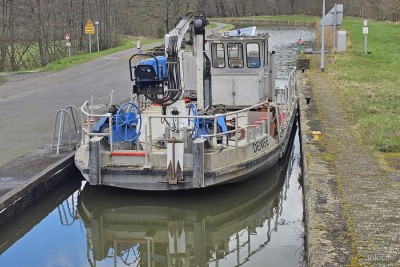 DENISE - Altwiller - mars 2024 (02).jpg (189.11 Kio) Vu 1768 fois DENISE - Altwiller - mars 2024 (02).jpg