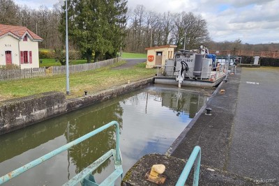 DENISE - Altwiller - mars 2024 (05).jpg (182.93 Kio) Vu 1768 fois DENISE - Altwiller - mars 2024 (05).jpg