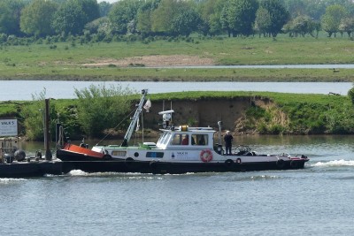 Valk-19-3-01-05-2024-Niftrik.JPG (186.17 Kio) Vu 2250 fois Valk-19-3-01-05-2024-Niftrik.JPG