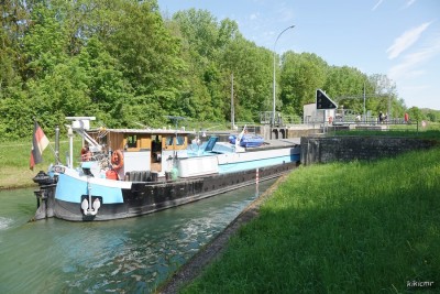 MERKUR - Sarry - 2024-05-11 (03).jpg