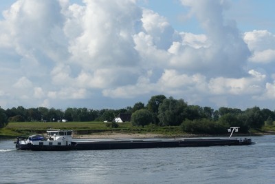 Denzo-2-28-08-2023-Slijk-Ewijk.JPG (138.96 Kio) Vu 806 fois Denzo-2-28-08-2023-Slijk-Ewijk.JPG