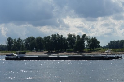 Denzo-1-28-08-2023-Slijk-Ewijk.JPG