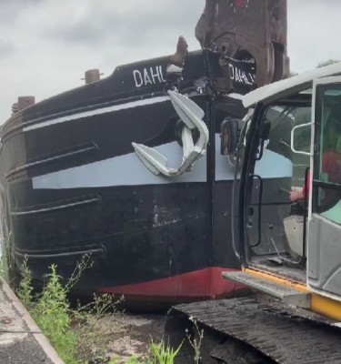 DAHLIA déchirage.jpg (66.52 Kio) Vu 1952 fois DAHLIA déchirage.jpg