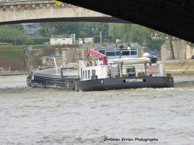 Fortuna alternat.JPG (220.84 Kio) Vu 1438 fois Fortuna alternat.JPG