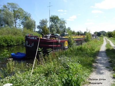 Flora ex Stylo Ailly sur Somme -.JPG