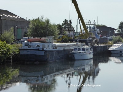 Iroko St Valery ar.JPG (183.79 Kio) Vu 2134 fois Iroko St Valery ar.JPG