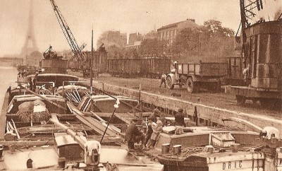 drac.jpg (359.11 Kio) Vu 3168 fois drac.jpg