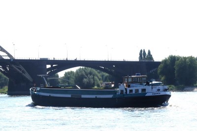 Zapata-3-27-08-2024-Nijmegen.JPG (92.89 Kio) Vu 531 fois Zapata-3-27-08-2024-Nijmegen.JPG