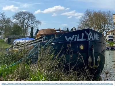 WILLYANE Vagus 11.jpg