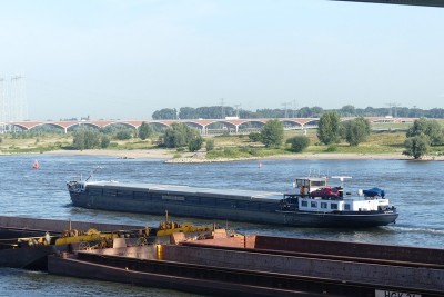 Donna-3-27-08-2024-Nijmegen.JPG