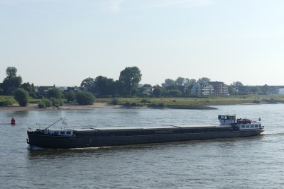 Donna-2-27-08-2024-Nijmegen.JPG