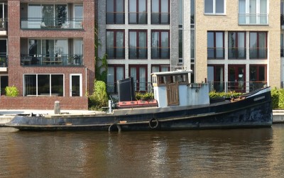 Eemshoorn-2-20-09-2024-Leiderdorp.JPG (183.53 Kio) Vu 1879 fois Eemshoorn-2-20-09-2024-Leiderdorp.JPG