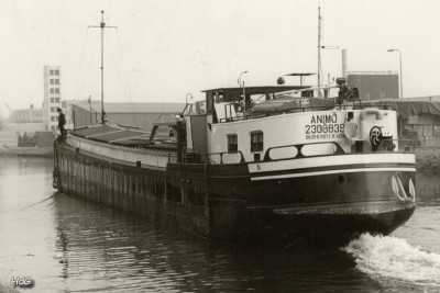 ANIMO.jpg (115.59 Kio) Vu 658 fois ANIMO.jpg