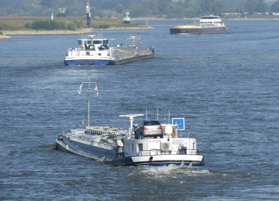 Rodort-10-3-27-08-2024-Nijmegen.JPG (168.34 Kio) Vu 570 fois Rodort-10-3-27-08-2024-Nijmegen.JPG