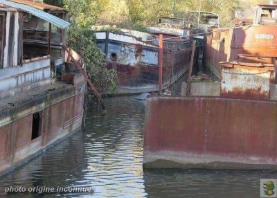 PINTO Janville (1).jpg (105.04 Kio) Vu 872 fois PINTO Janville (1).jpg