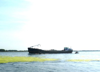 Quarta-1-02-07-2010-Pampus.JPG (65.79 Kio) Vu 403 fois Quarta-1-02-07-2010-Pampus.JPG