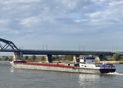 Cheyenne-4-26-10-2024-Nijmegen.jpg