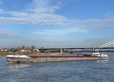 Cheyenne-1-26-10-2024-Nijmegen.jpg