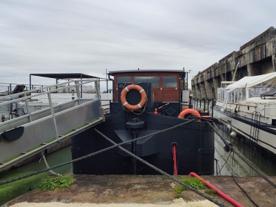 06Fleur_d'O01.jpg (250.42 Kio) Vu 4808 fois 06Fleur_d'O01.jpg