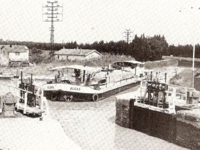 Algas.jpg (296.95 Kio) Vu 832 fois Algas.jpg