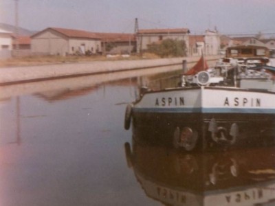 Aspin 109.jpg