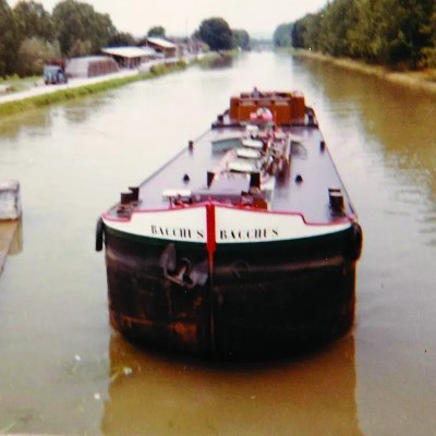 Bacchus 103.jpg (103.22 Kio) Vu 1892 fois Bacchus 103.jpg