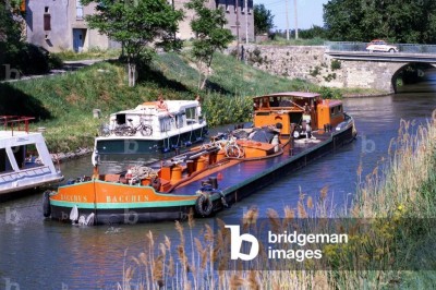 Bacchus 309.jpg (322.43 Kio) Vu 1892 fois Bacchus 309.jpg