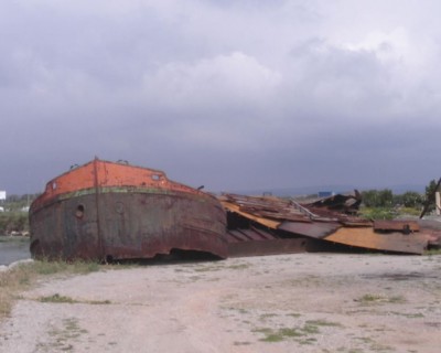 Bacchus 703.jpg (116.48 Kio) Vu 1892 fois Bacchus 703.jpg