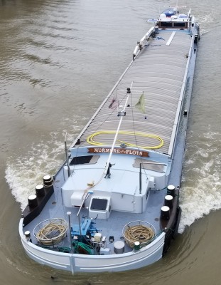 MURMURE LES FLOTS_20250126_14343_réduitVV.jpg (249.47 Kio) Vu 465 fois MURMURE LES FLOTS_20250126_14343_réduitVV.jpg