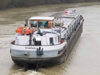 OHANA_20250129_143806.jpg
