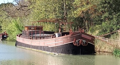 20250410_171338.jpg (173.07 Kio) Vu 1652 fois 20250410_171338.jpg