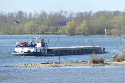 Donna-31-03-2025-Niftrik.JPG