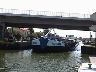 Calicoba01.JPG