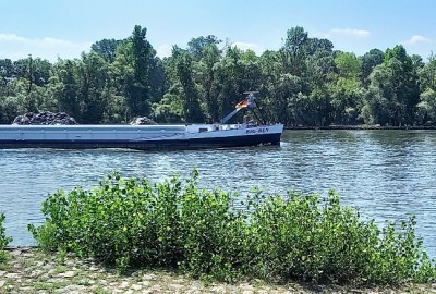 20250619_113357.jpg