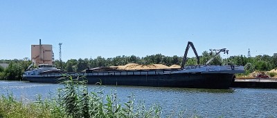 20250624_142859.jpg