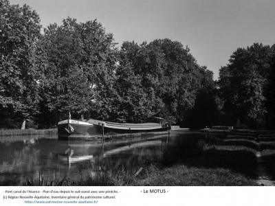 MOTUS ex Artisan Vagus 37.jpg (311.02 Kio) Vu 1493 fois MOTUS ex Artisan Vagus 37.jpg