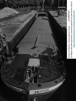 MOTUS ex Artisan Vagus 38.jpg (149.34 Kio) Vu 1493 fois MOTUS ex Artisan Vagus 38.jpg