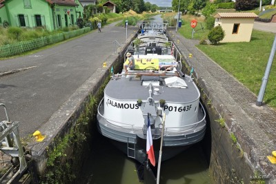 CALAMOUS 2025-06 Herbitzheim (01).jpg (261.33 Kio) Vu 331 fois CALAMOUS 2025-06 Herbitzheim (01).jpg