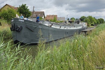 CALAMOUS 2025-06 Herbitzheim (02).jpg (280.4 Kio) Vu 331 fois CALAMOUS 2025-06 Herbitzheim (02).jpg