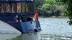 20250619_125334.jpg
