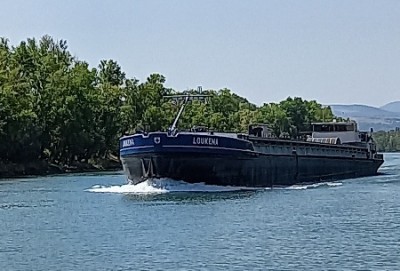 20250815_123754.jpg (65.66 Kio) Vu 188 fois 20250815_123754.jpg