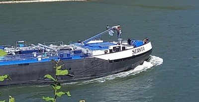 20250619_162650.jpg (68.3 Kio) Vu 260 fois 20250619_162650.jpg