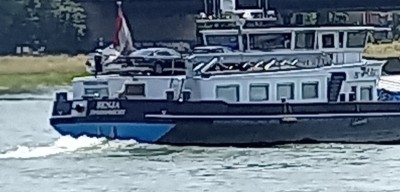 20250616_132900.jpg (94.15 Kio) Vu 128 fois 20250616_132900.jpg