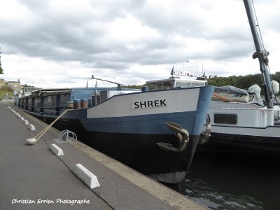 Shrek Conflans.JPG