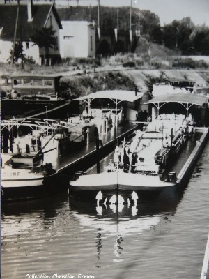 P1130678.JPG (203.85 Kio) Vu 444 fois P1130678.JPG