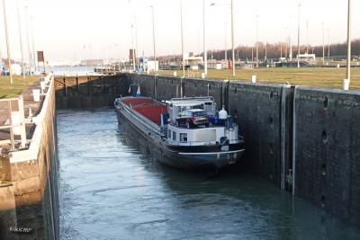 ALTERO Diepenbeek 2023 (4).jpg (185.92 Kio) Vu 9159 fois ALTERO Diepenbeek 2023 (4).jpg