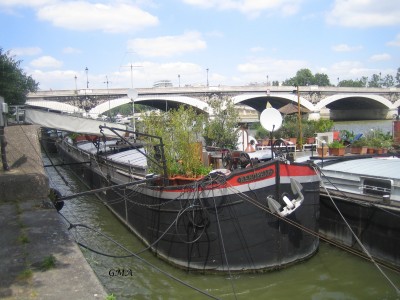 nenuphar-av.JPG (1.22 Mio) Vu 138 fois nenuphar-av.JPG