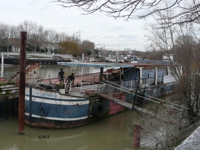 nenuphar-av.JPG (1.72 Mio) Vu 53 fois nenuphar-av.JPG